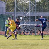 Fotograf_-_Robert_Scheidl_(49_von_155).jpg
