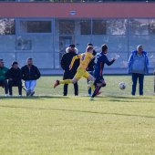 Fotograf_-_Robert_Scheidl_(62_von_155).jpg