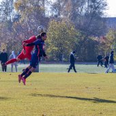 Fotograf_-_Robert_Scheidl_(11_von_146).jpg