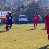 Fotograf_-_Robert_Scheidl_(30_von_146).jpg