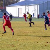 Fotograf_-_Robert_Scheidl_(32_von_146).jpg