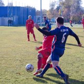 Fotograf_-_Robert_Scheidl_(35_von_146).jpg