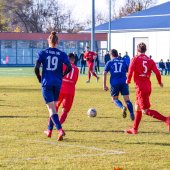 Fotograf_-_Robert_Scheidl_(36_von_146).jpg