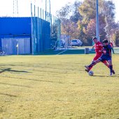 Fotograf_-_Robert_Scheidl_(45_von_146).jpg