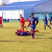 Fotograf_-_Robert_Scheidl_(49_von_146).jpg