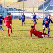 Fotograf_-_Robert_Scheidl_(65_von_146).jpg
