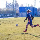 Fotograf_-_Robert_Scheidl_(70_von_146).jpg