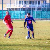 Fotograf_-_Robert_Scheidl_(94_von_146).jpg