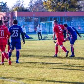Fotograf_-_Robert_Scheidl_(95_von_146).jpg
