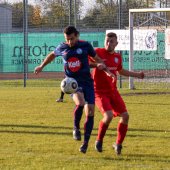 Fotograf_-_Robert_Scheidl_(99_von_146).jpg