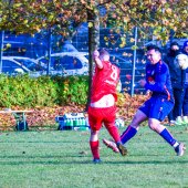 Fotograf_-_Robert_Scheidl_(110_von_146).jpg