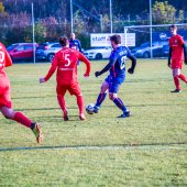 Fotograf_-_Robert_Scheidl_(116_von_146).jpg