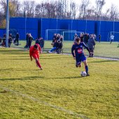 Fotograf_-_Robert_Scheidl_(120_von_146).jpg