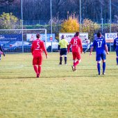 Fotograf_-_Robert_Scheidl_(127_von_146).jpg