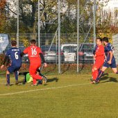 Fotograf_-_Robert_Scheidl_(133_von_146).jpg