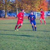 Fotograf_-_Robert_Scheidl_(137_von_146).jpg