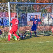 Fotograf_-_Robert_Scheidl_(146_von_146).jpg