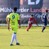 Bild_1_(224).jpg
