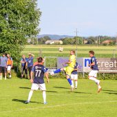 Bild_(281)_3.jpg