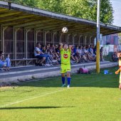 Bild_(287)_3.jpg