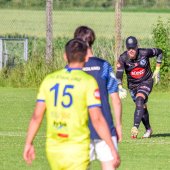 Bild_(321)_3.jpg