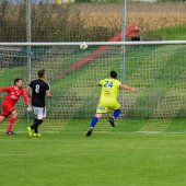 Bild_(136)_9.jpg