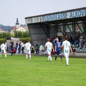 Bild_(200)_7.jpg
