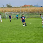 Bild_(204)_7.jpg
