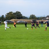 Bild_(250)_7.jpg