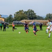 Bild_(251)_7.jpg