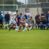 Bild_(294)_6.jpg