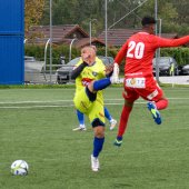 Bild_(8)_10.jpg
