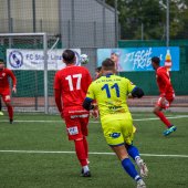 Bild_(79)_10.jpg