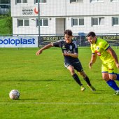 Bild_(31)_12.jpg