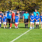 Bild_(290)-2.jpg