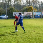 Bild_(346)_5.jpg
