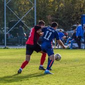 Bild_(361)_6.jpg