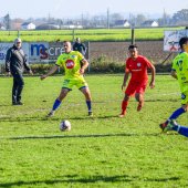 Bild_(73)_16.jpg