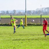 Bild_(79)_14.jpg