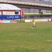 Bild_(114)_15.jpg