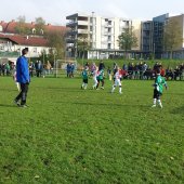 Fotograf_Robert_Scheidl_(40).jpg