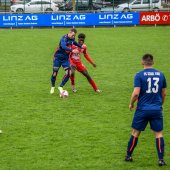 Bild_(31)_17.jpg