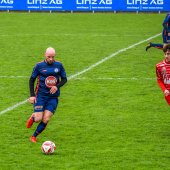 Bild_(34)_16.jpg
