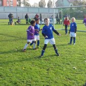 Fotograf_Robert_Scheidl_(67).jpg