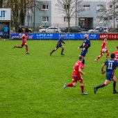 Bild_(74)_18.jpg