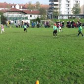Fotograf_Robert_Scheidl_(88).jpg