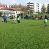 Fotograf_Robert_Scheidl_(95).jpg