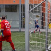 Bild_(263)_11.jpg