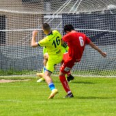 Bild_(13)_19.jpg