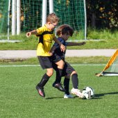 Bild_(29_von_210).jpg